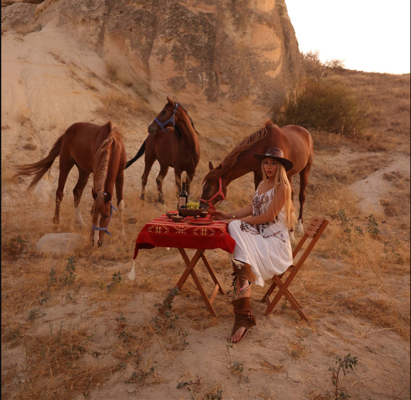 Portrait photo shoot with horses
