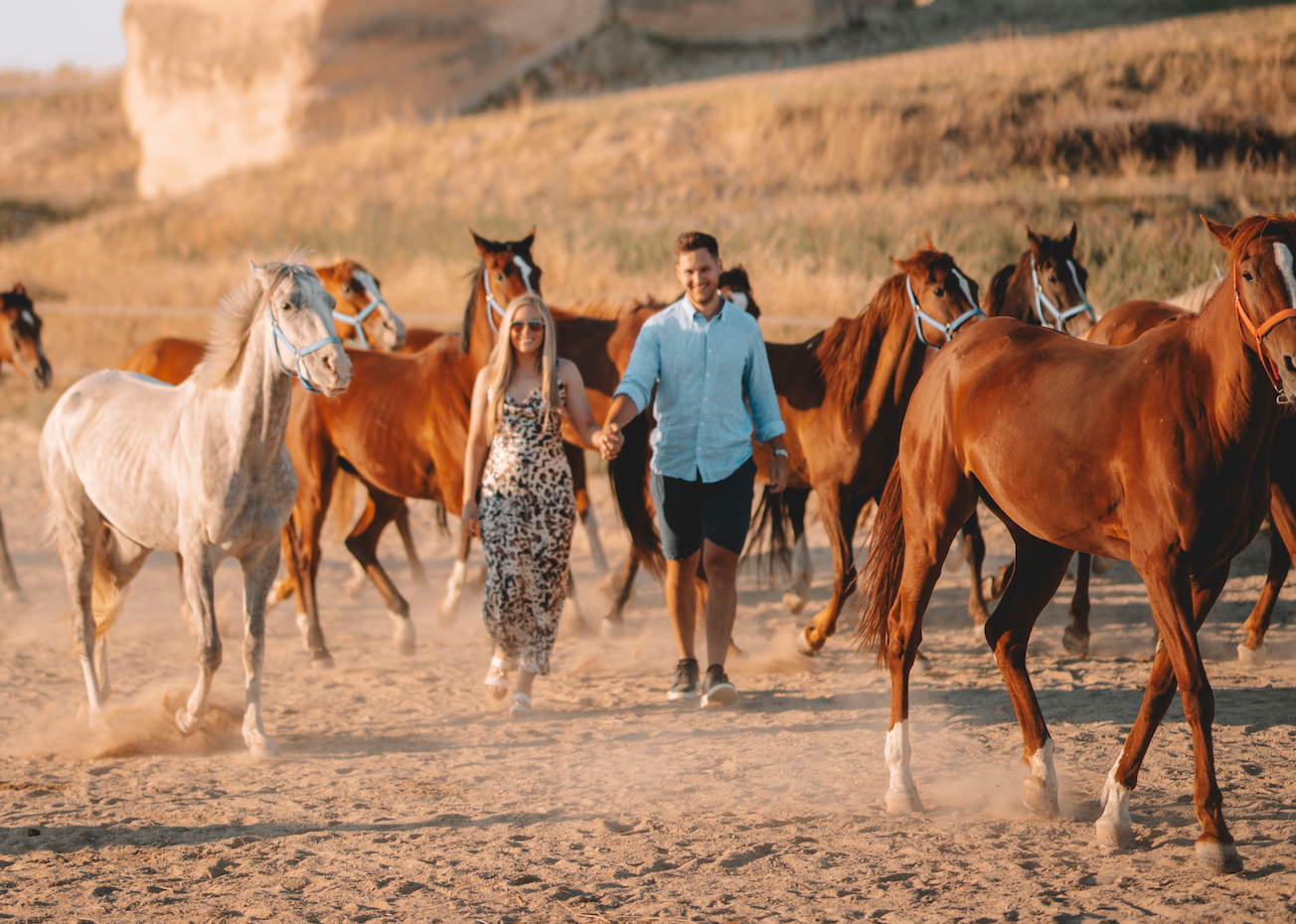 Horses running across the valley